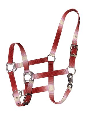 Showman Premium nylon Horse sized ombre halter with nickel plated hardware #4